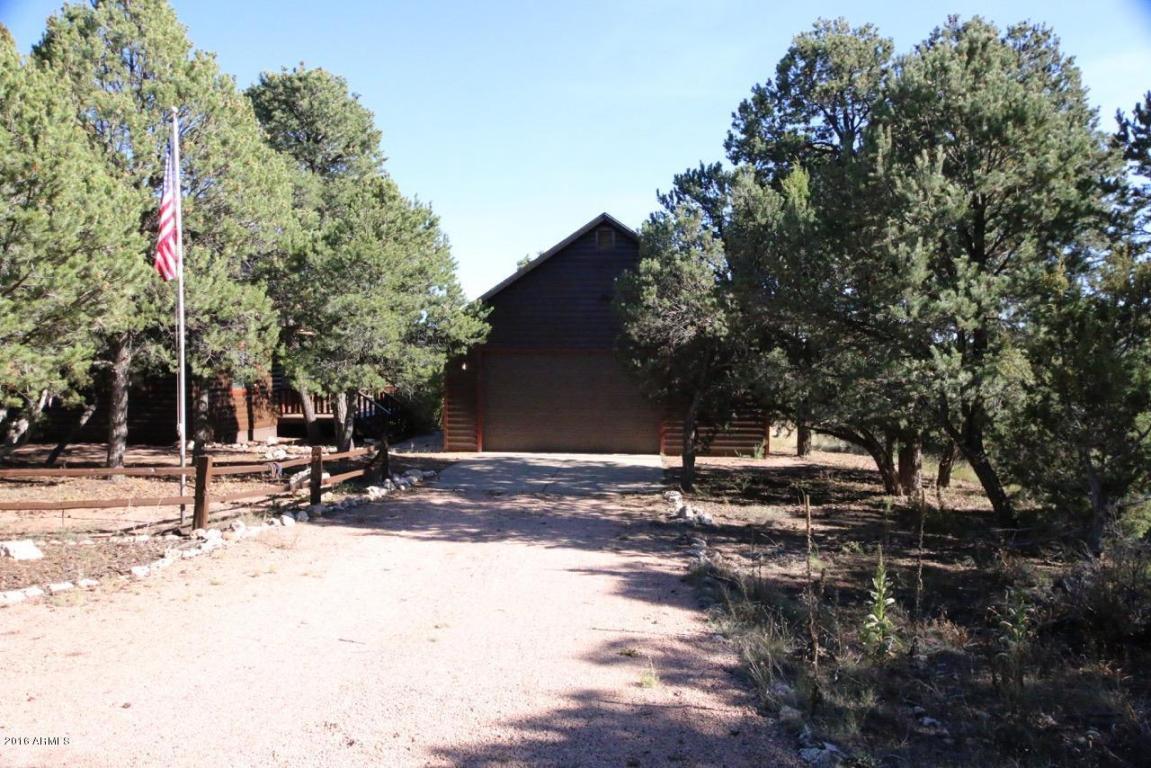 2885 Cedar Rdg, Overgaard, AZ 85933 photo 38