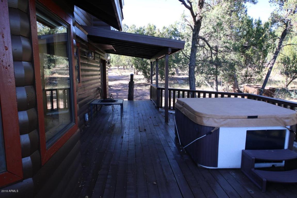 2885 Cedar Rdg, Overgaard, AZ 85933 photo 24