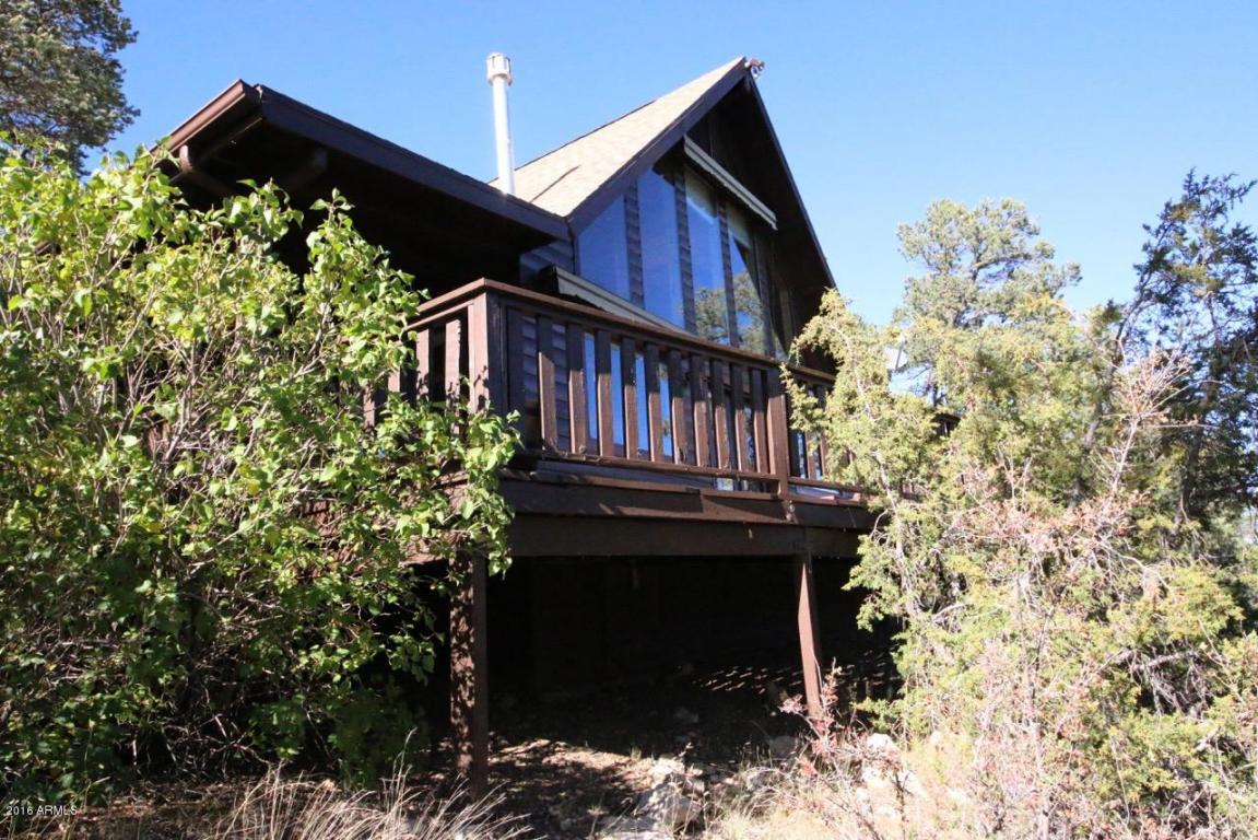 2885 Cedar Rdg, Overgaard, AZ 85933 photo 35
