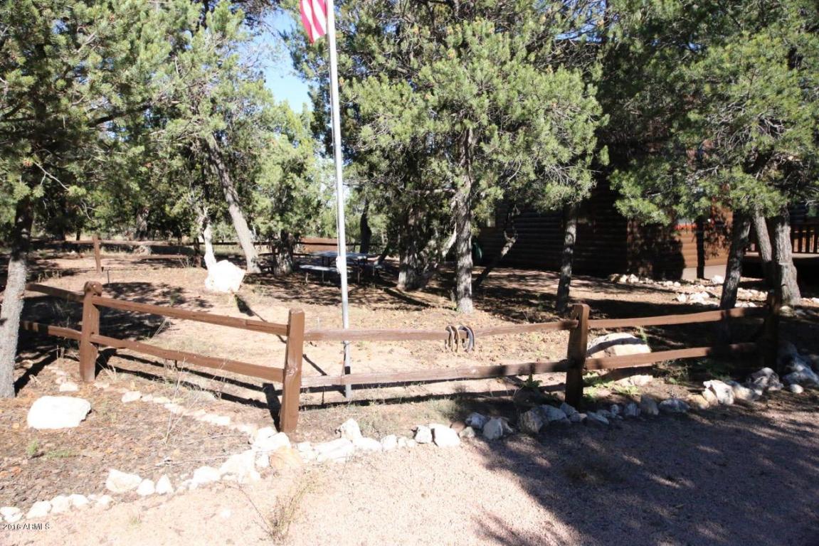 2885 Cedar Rdg, Overgaard, AZ 85933 photo 39