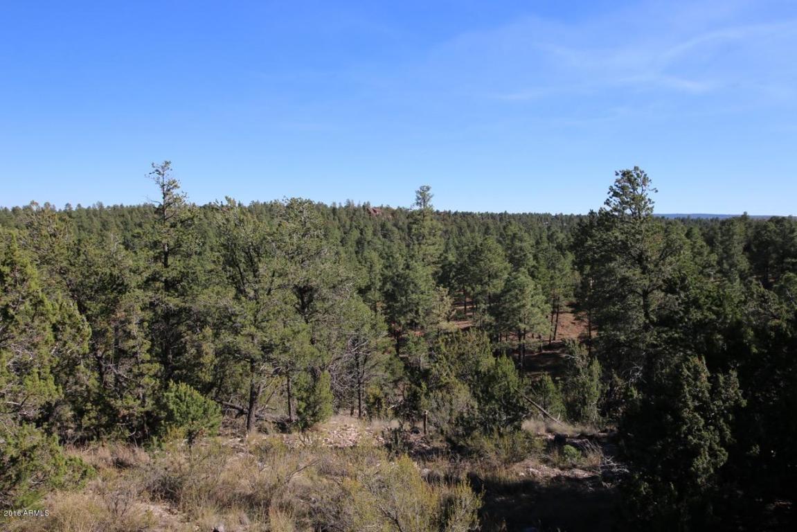 2885 Cedar Rdg, Overgaard, AZ 85933 photo 31