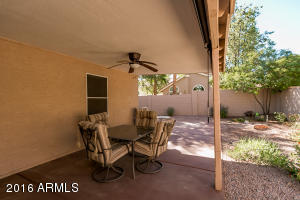 3313 E Nighthawk Way, Phoenix, AZ 85048 photo 23