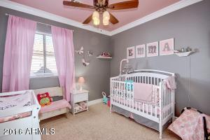 10461 E Flower Ave, Mesa, AZ 85208 photo 24