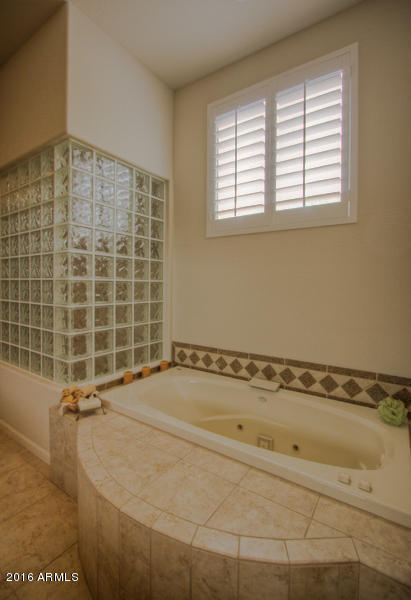 3538 E Robin Ln, Phoenix, AZ 85050 photo 10