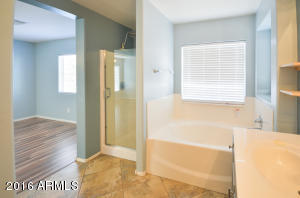 1731 E Joseph Way, Gilbert, AZ 85295 photo 34