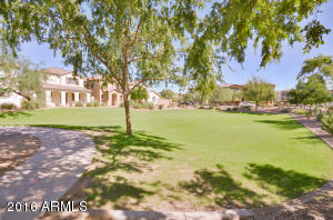 1731 E Joseph Way, Gilbert, AZ 85295 photo 36