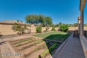 2864 E Blue Sage Rd, Gilbert, AZ 85297 photo 52