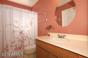 11824 S Magic Stone Dr, Phoenix, AZ 85044 photo 10