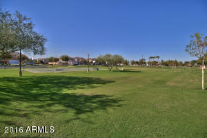 2220 E Sunland Ave, Phoenix, AZ 85040 photo 33