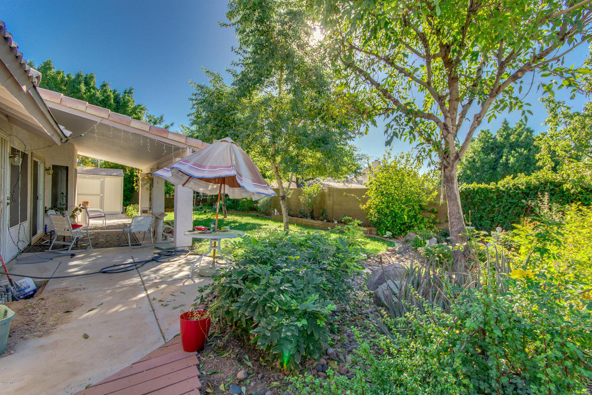 7425 E Ivy St, Mesa, AZ 85207 photo 37