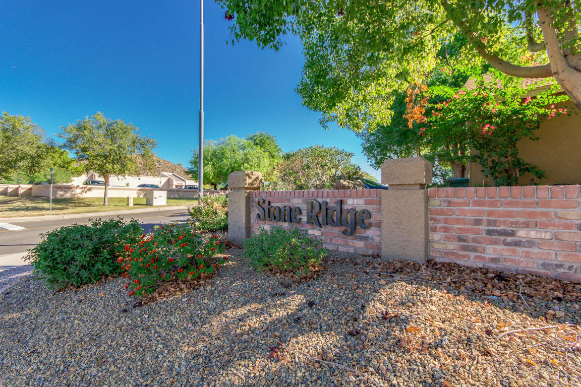 7425 E Ivy St, Mesa, AZ 85207 photo 40