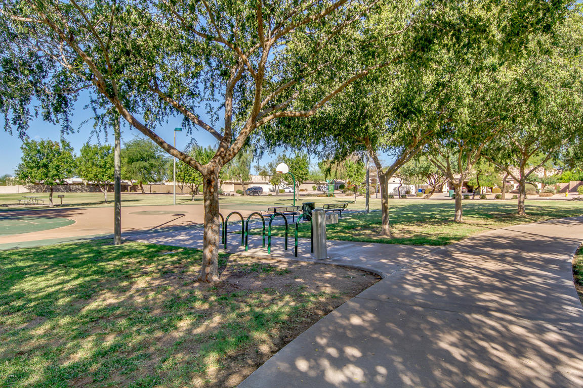 7425 E Ivy St, Mesa, AZ 85207 photo 45