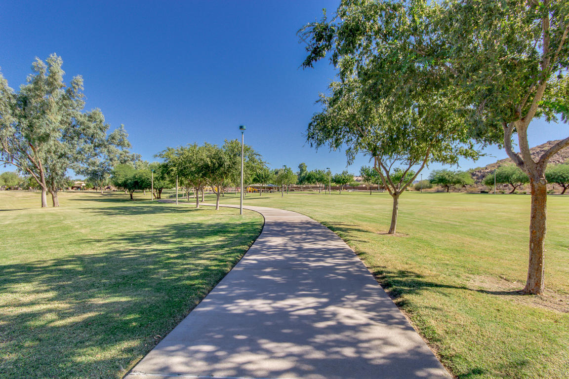 7425 E Ivy St, Mesa, AZ 85207 photo 49