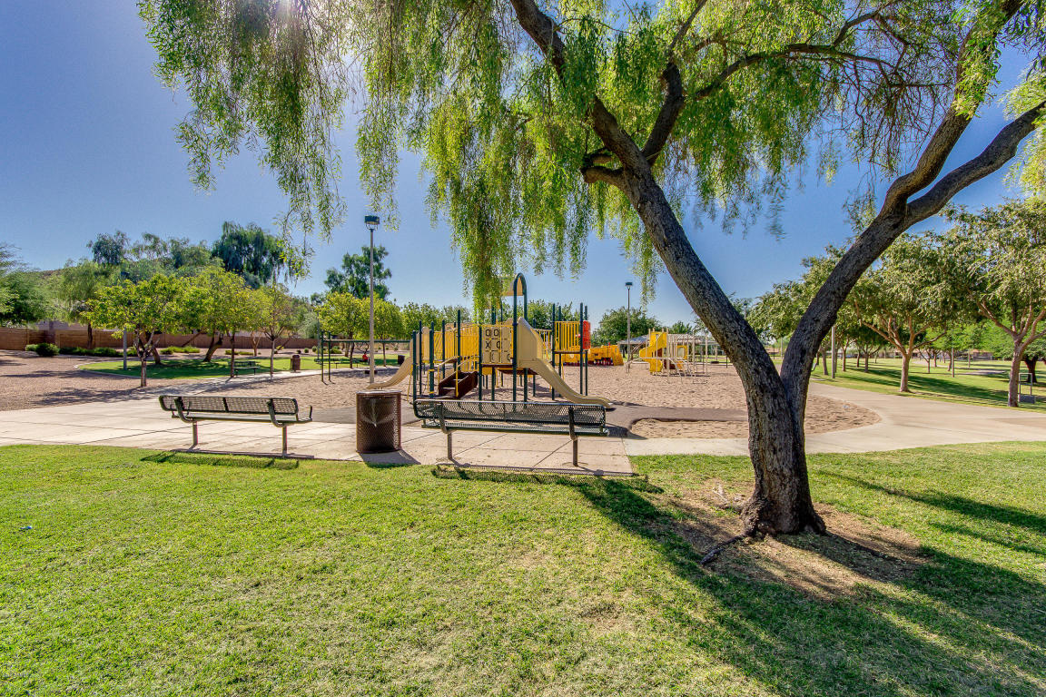 7425 E Ivy St, Mesa, AZ 85207 photo 47