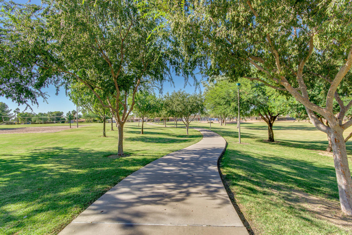 7425 E Ivy St, Mesa, AZ 85207 photo 48