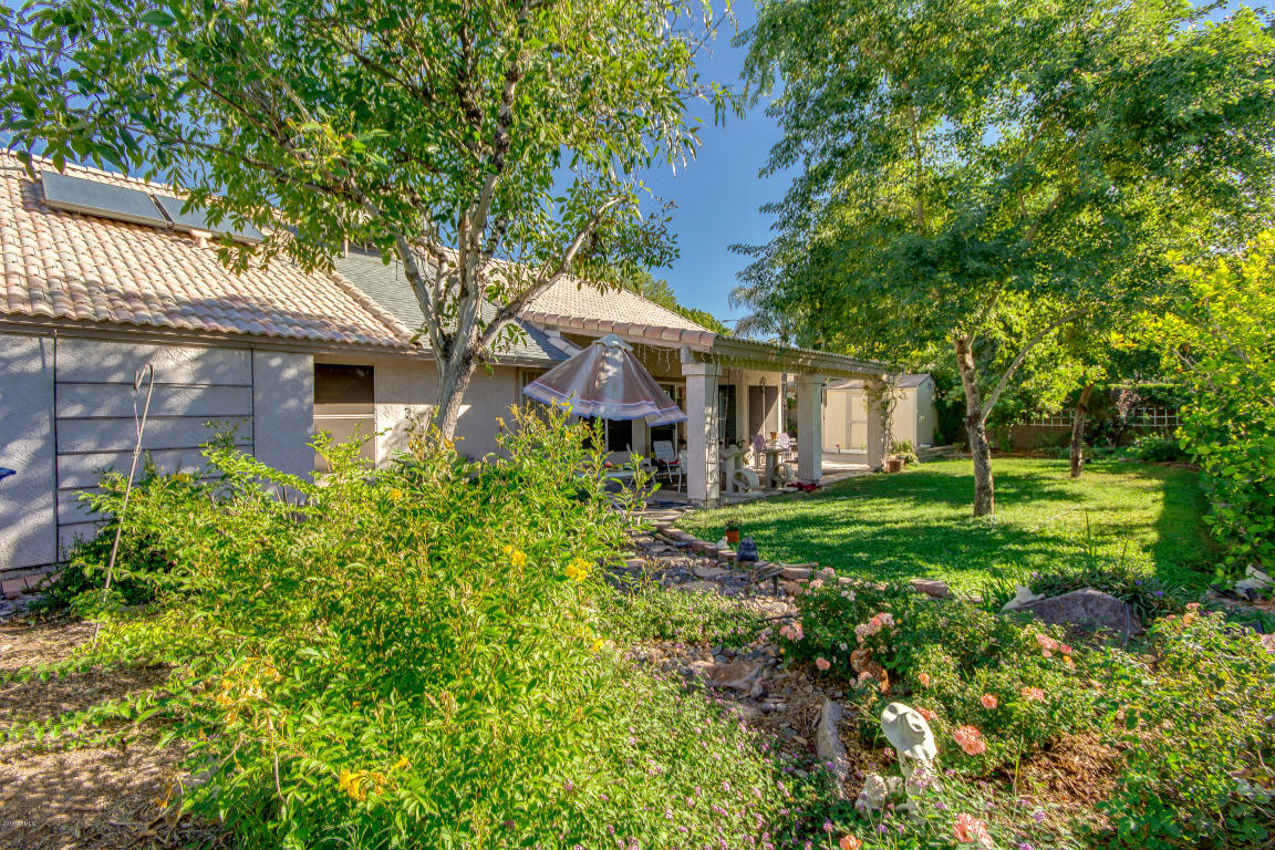 7425 E Ivy St, Mesa, AZ 85207 photo 36