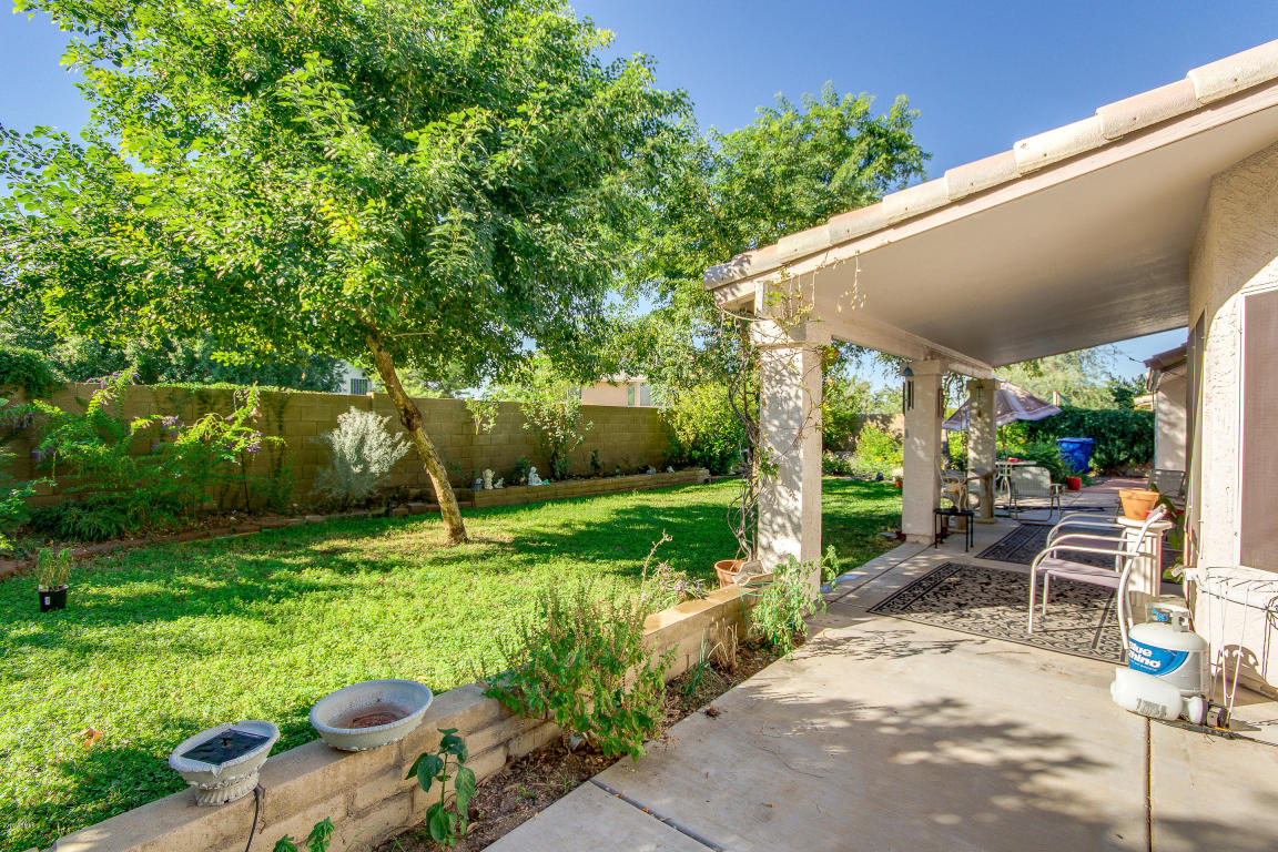 7425 E Ivy St, Mesa, AZ 85207 photo 34