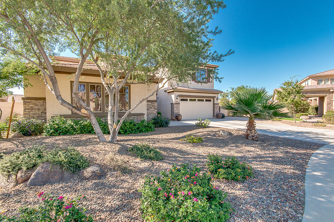 4200 S Marble St, Gilbert, AZ 85297 photo 4