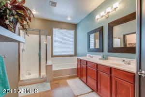 4076 E Megan Ct, Gilbert, AZ 85295 photo 39