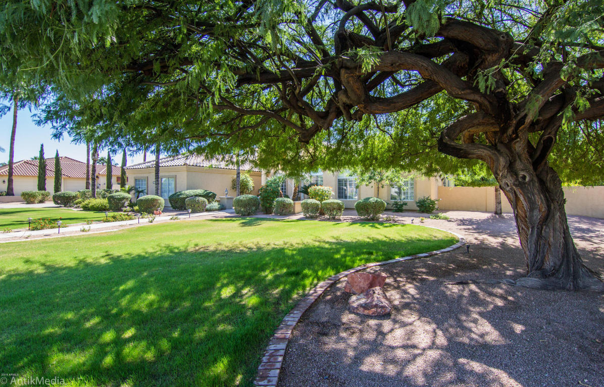 3839 E June Cir, Mesa, AZ 85205 photo 5