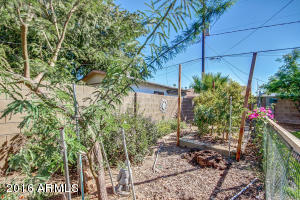 443 E 7th Pl, Mesa, AZ 85203 photo 38
