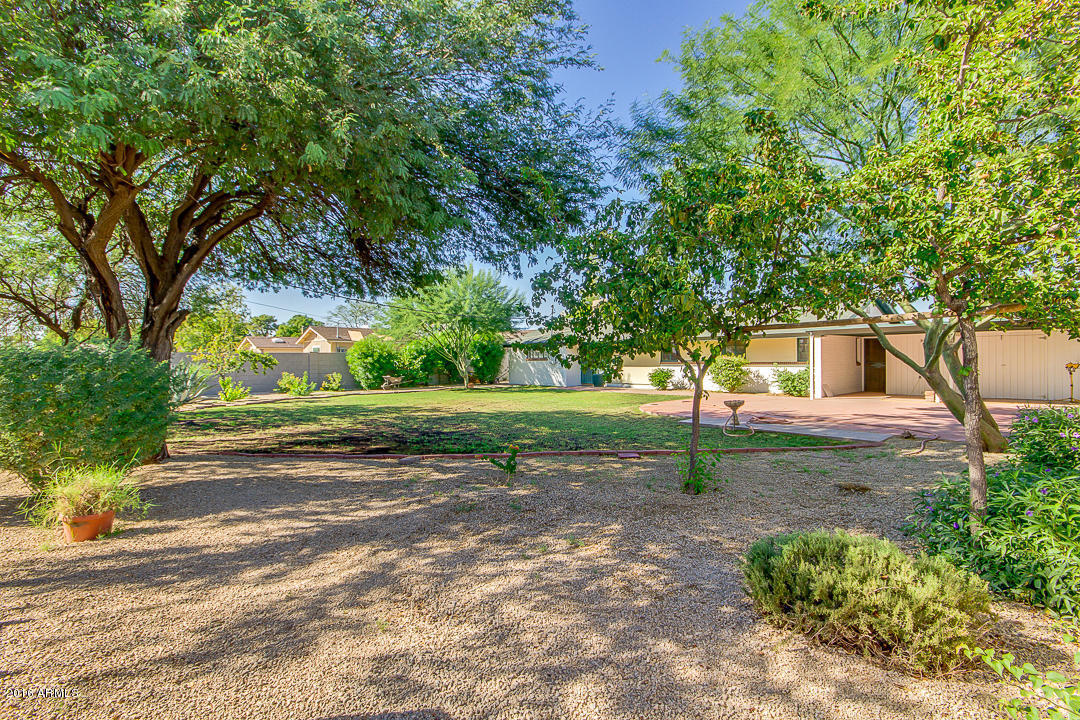 1611 W Weldon Ave, Phoenix, AZ 85015 photo 14