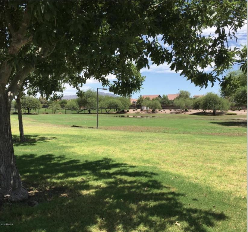 2440 E County Down Dr, Chandler, AZ 85249 photo 34