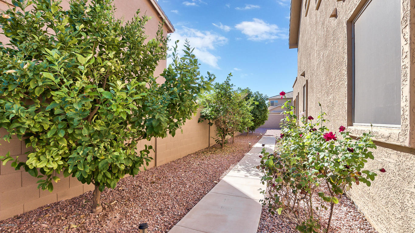 11405 E Stearn Ave, Mesa, AZ 85212 photo 38