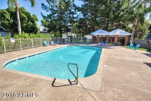 441 S Maple -- #60, Mesa, AZ 85206 photo 29
