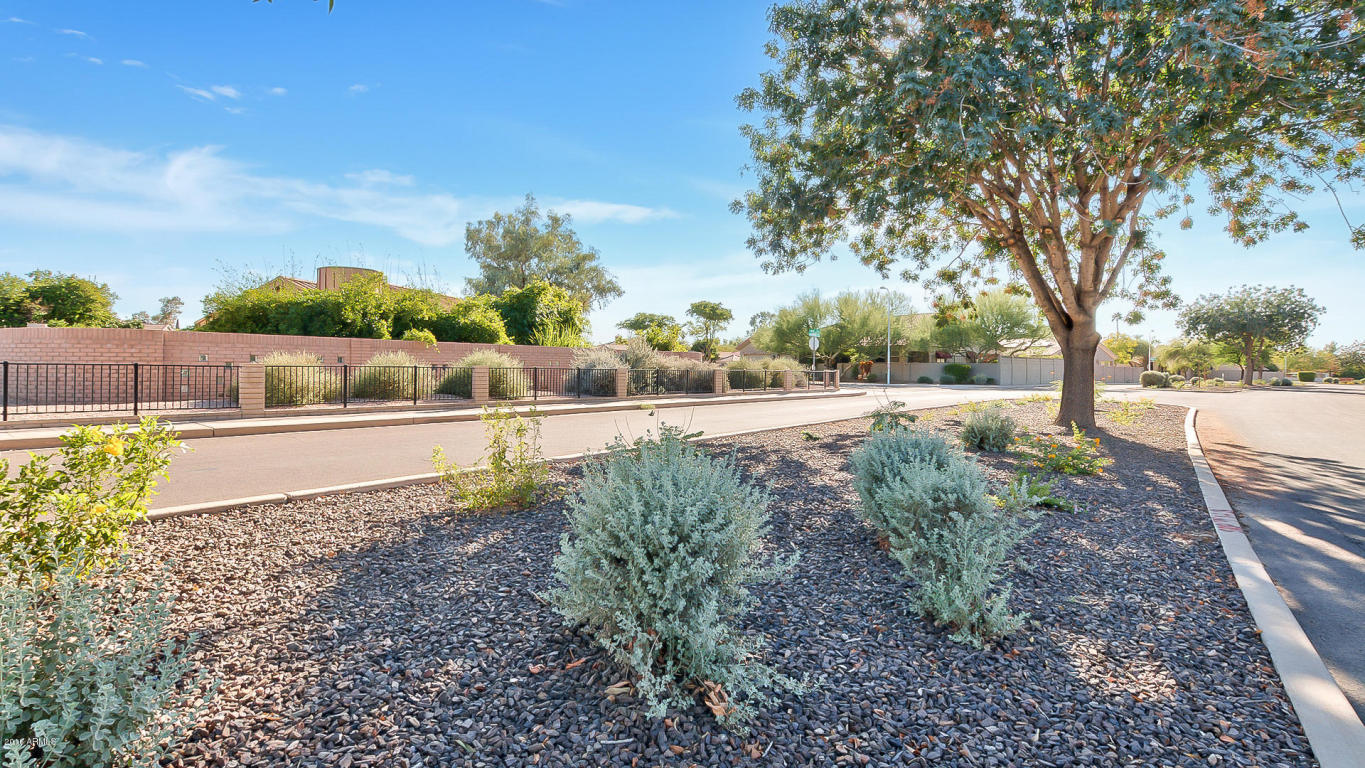1206 E Alameda Dr, Tempe, AZ 85282 photo 34