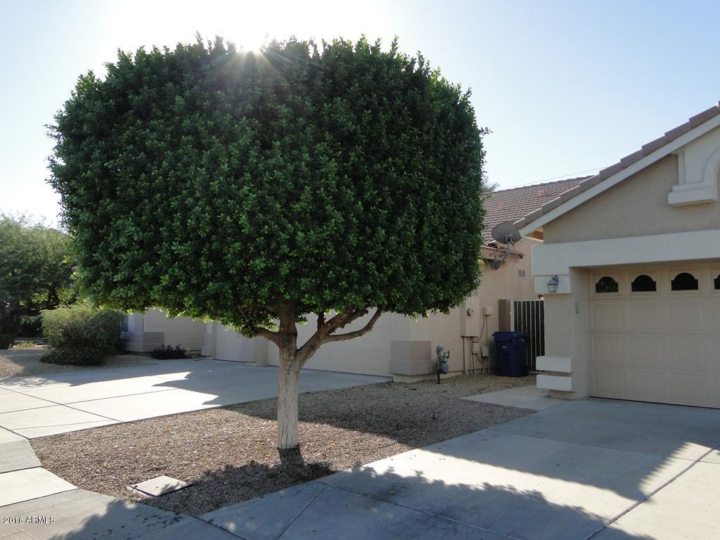 3363 E Jacinto Ave, Mesa, AZ 85204 photo 4