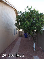 4137 E Ford Ave, Gilbert, AZ 85234 photo 41