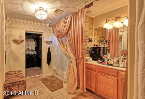 10207 E Isleta Ave, Mesa, AZ 85209 photo 9
