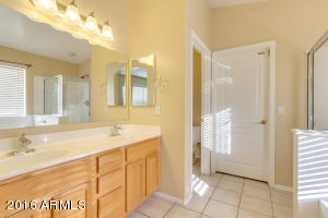 3341 E Flamingo Ct, Gilbert, AZ 85297 photo 31