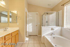3341 E Flamingo Ct, Gilbert, AZ 85297 photo 32