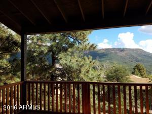 6100 W Skyview Cir, Pine, AZ 85544 photo 3