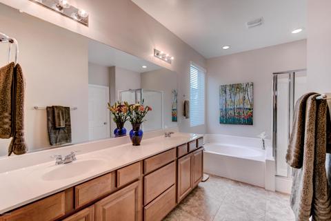 1102 E Rojo Way, Gilbert, AZ 85297 photo 31
