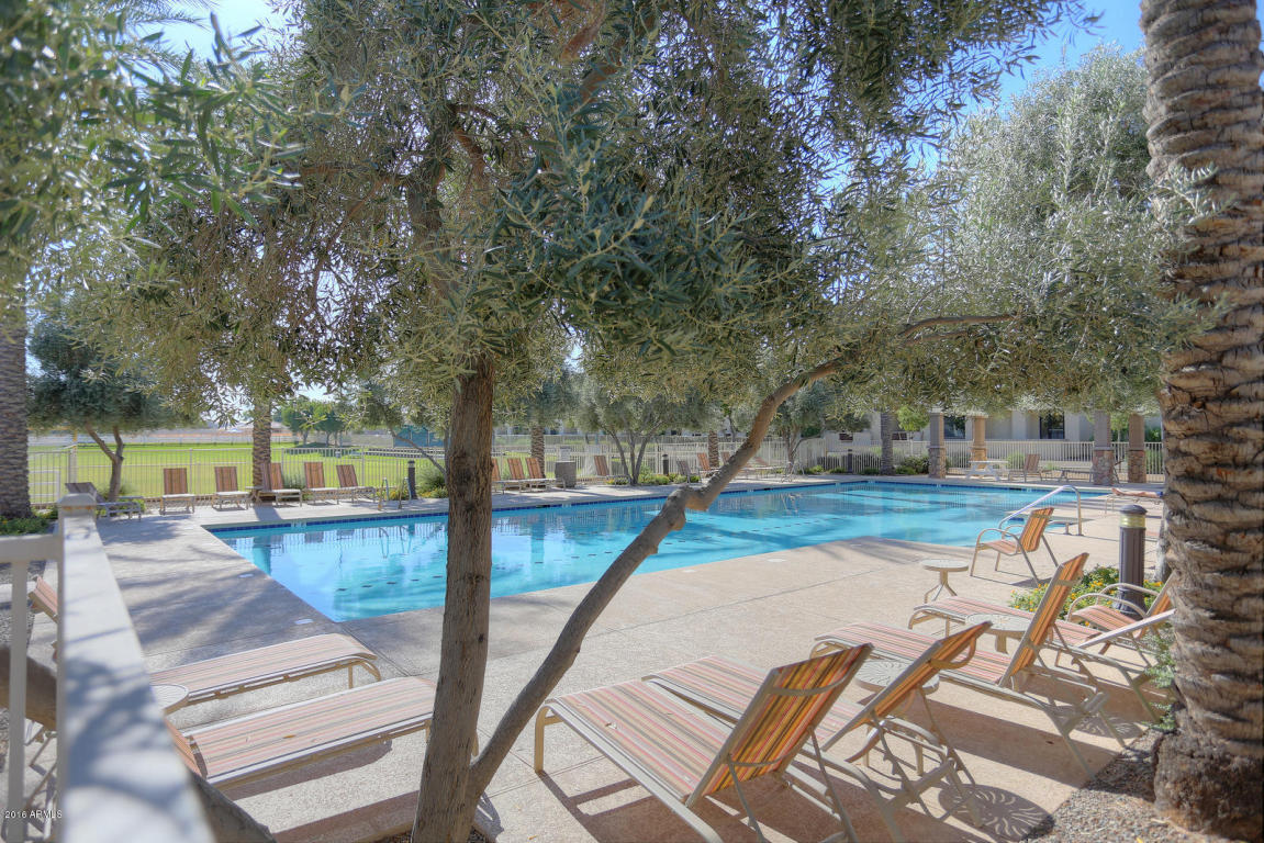 3043 E Pistachio St, Gilbert, AZ 85296 photo 40