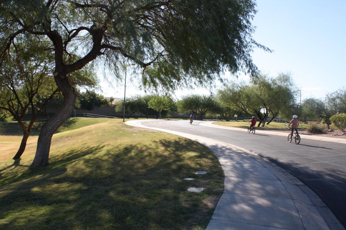 1221 E Beth Dr, Phoenix, AZ 85042 photo 45