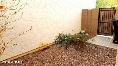 10057 E Isleta Ave, Mesa, AZ 85209 photo 23