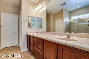 10939 E Starkey Ave, Mesa, AZ 85212 photo 19