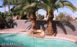 2354 E Amber Ln, Gilbert, AZ 85296 photo 9