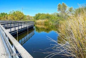 3031 E Page Ave, Gilbert, AZ 85234 photo 102