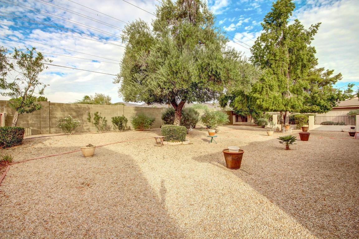 12820 S 40th Pl, Phoenix, AZ 85044 photo 3
