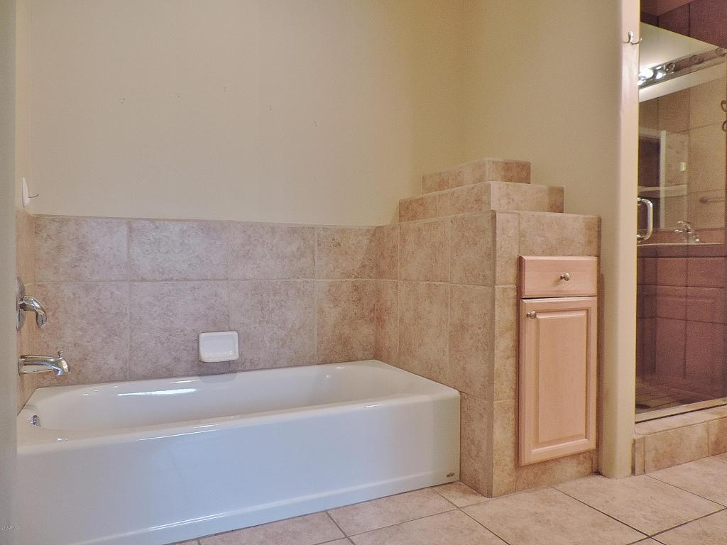 3002 E Jeanette Ct, Phoenix, AZ 85050 photo 15