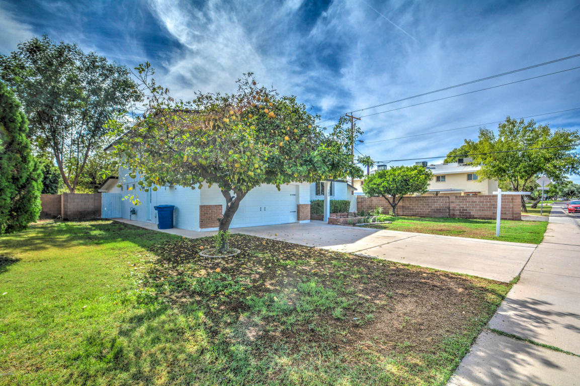 105 Ellis Dr, Tempe, AZ 85282 photo 83