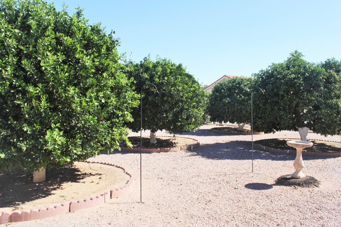 707 S 80th St E, Mesa, AZ 85208 photo 17