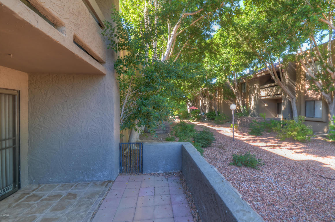 3825 E Camelback Rd #118, Phoenix, AZ 85018 photo 6