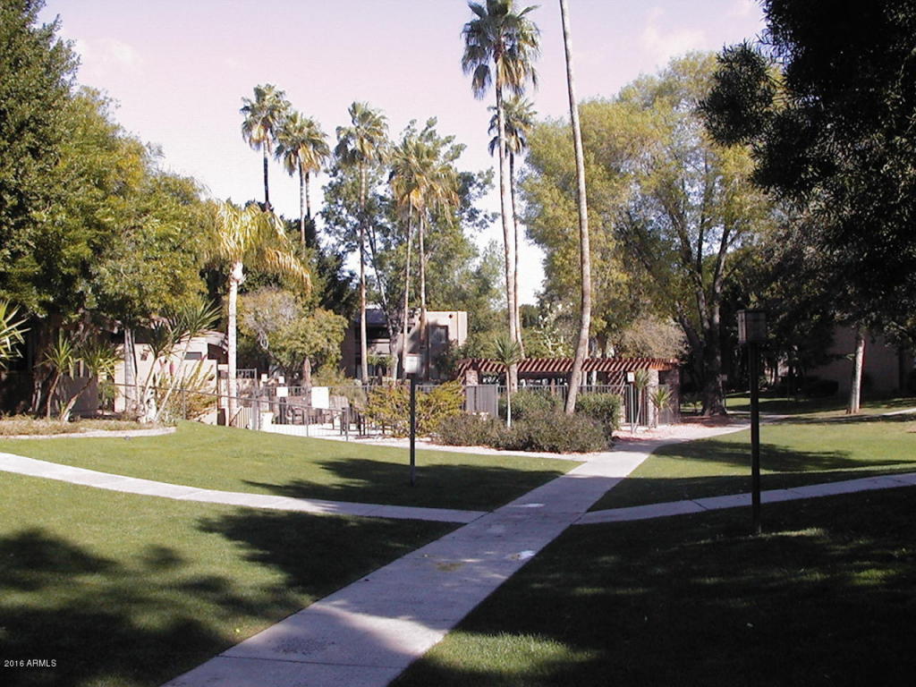 3825 E Camelback Rd #118, Phoenix, AZ 85018 photo 27