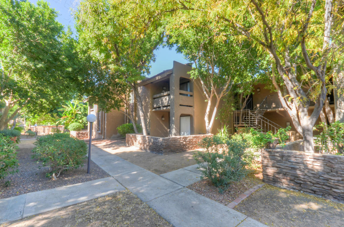 3825 E Camelback Rd #118, Phoenix, AZ 85018 photo 1